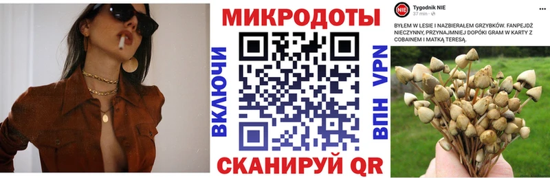Галлюциногенные грибы ЛСД Ликино-Дулёво
