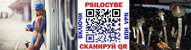где можно купить наркотик  Ликино-Дулёво  ОМГ ОМГ tor  Псилоцибиновые грибы прущие грибы 