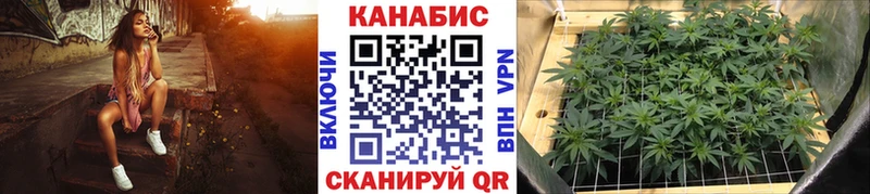 закладка  Ликино-Дулёво  Шишки марихуана SATIVA & INDICA 